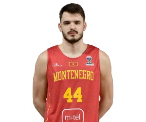 Fedor Zugic basketball player photo 6