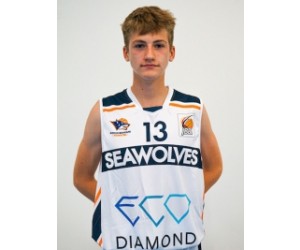 Frederik Scholz basketball player