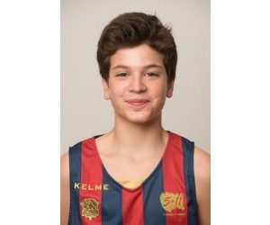 Gega Tsulaia basketball player photo 1