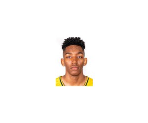 Greg Spurlock basketball player - F