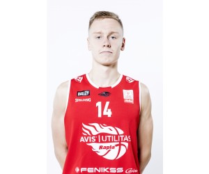 Gregor Ilves basketball player photo 2