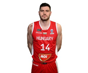 Gyorgy Goloman basketball player photo 7