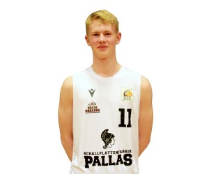 Hannes Bruggemann basketball player - SF