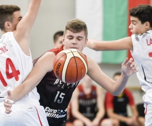 Haris Bratanovic basketball player - PF/C