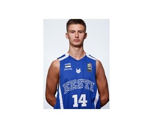 Hendrik Eelmae basketball player - SF