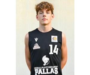 Hendrik Winkelmann basketball player