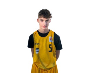 Henning Wildeboer basketball player