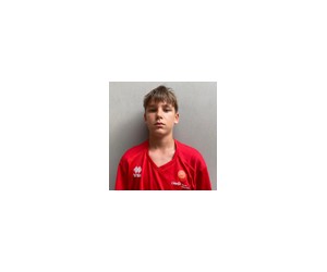 Henriks Plepis basketball player photo 1