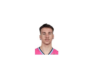Hugo Besson basketball player photo 3