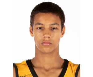 Hugo Boman basketball player - SF