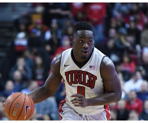 Ike Nwamu basketball player photo 1