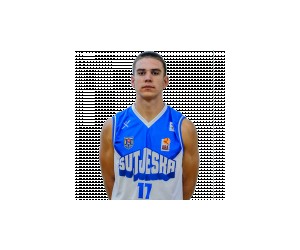 Ilija Varajic basketball player photo 1