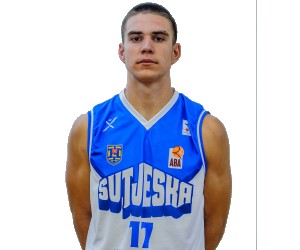 Ilija Varajic basketball player - SF