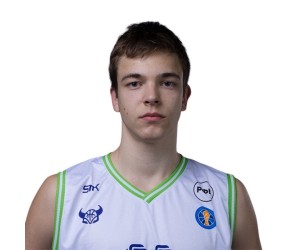 Ilya Krivykh basketball player photo 3