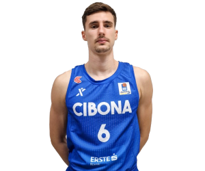 Ivan Perasovic basketball player photo 3