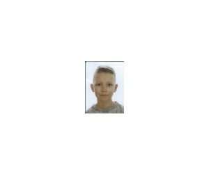 Ivan Valecic basketball player - F