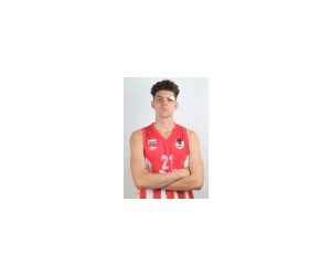 Izsak Tarjan basketball player