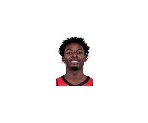Jae'sean Tate basketball player photo 3