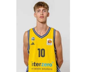 Jan Diener basketball player