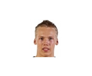 Janis Berzins basketball player photo 1