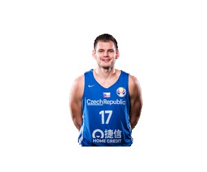 Jaromir Bohacik basketball player photo 1