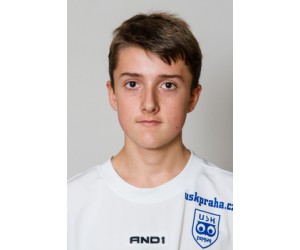 Jaromir Hedvik basketball player