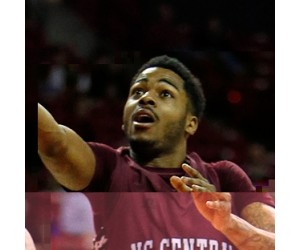 Jeremy Ingram basketball player photo 1