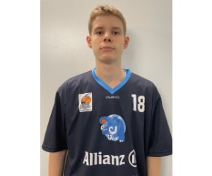 Johan Wielens basketball player