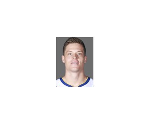 Jonas Jerebko basketball player - F
