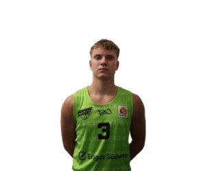 Jorke Aav basketball player photo 1