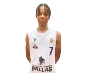 Joshua Alfa basketball player
