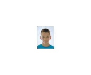 Josip Visic basketball player