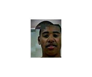 Julius Van Sauers basketball player photo 1