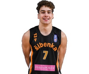 Juraj Pleadin basketball player photo 3