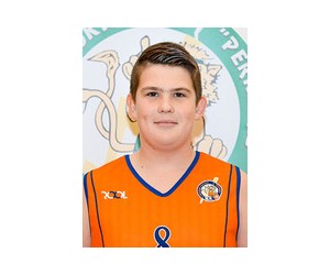 Kajus Gerdziunas basketball player