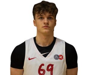 Karlis Liepa basketball player