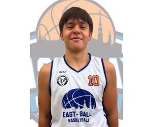 Kristers Brikmanis basketball player