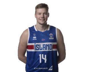 Kristinn Palsson basketball player photo 4