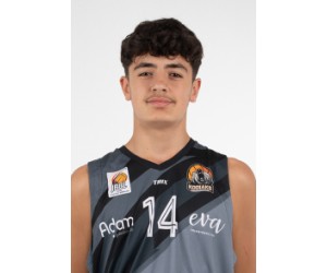 Kushtrim Gashi basketball player photo 1
