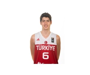 Leon Harun Apaydin basketball player photo 1