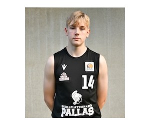 Leonard Hukelmann basketball player