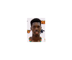Lesley Varner Ii basketball player - F