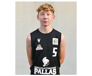 Levi Hemme basketball player