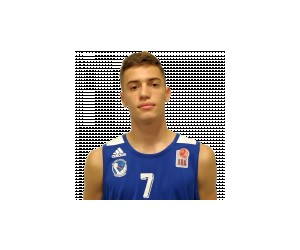 Ljubisa Dimitrovski basketball player photo 1