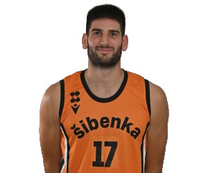 Lovro Mandalinic basketball player photo 2