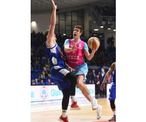 Luka Asceric basketball player - SG