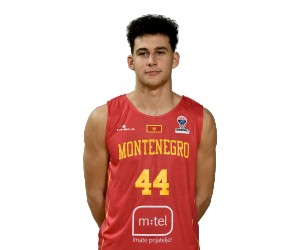 Luka Bogavac basketball player - SG