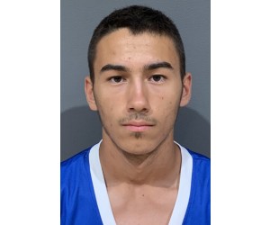 Luka Bubulj basketball player
