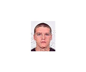Luka Labus basketball player - G