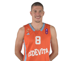Luka Mrsic basketball player photo 3